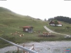 Archiv Foto Webcam Sudelfeld: Talstation Waldkopf 13:00