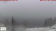 Archiv Foto Webcam Blick auf den Titisee im Schwarzwald 15:00