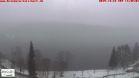 Archived image Webcam Titisee lake, Southern Black Forest 13:00