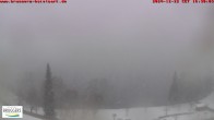 Archived image Webcam Titisee lake, Southern Black Forest 15:00