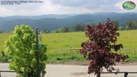 Archived image Webcam Willingen: Mountain Hut Graf Stolberg 09:00