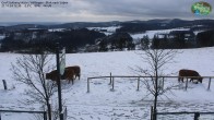 Archiv Foto Webcam Graf Stolberg Hütte bei Willingen 12:00