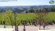 Archived image Webcam Willingen: Mountain Hut Graf Stolberg 11:00