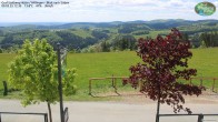 Archiv Foto Webcam Graf Stolberg Hütte bei Willingen 12:00