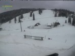 Archived image Webcam Menzenschwander mountain hut 11:00