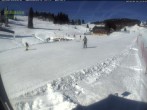 Archived image Webcam Menzenschwander mountain hut 11:00