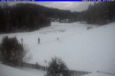 Archiv Foto Webcam Ferienhaus Carola, Hinterzarten 15:00