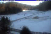 Archiv Foto Webcam Ferienhaus Carola, Hinterzarten 13:00