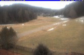 Archiv Foto Webcam Ferienhaus Carola, Hinterzarten 13:00