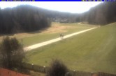 Archiv Foto Webcam Ferienhaus Carola, Hinterzarten 04:00