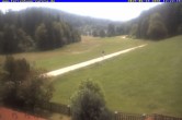 Archiv Foto Webcam Ferienhaus Carola, Hinterzarten 11:00