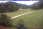 Archived image Webcam Holiday lodge Carola, Hinterzarten 13:00