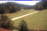 Archived image Webcam Holiday lodge Carola, Hinterzarten 11:00