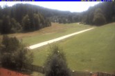Archiv Foto Webcam Ferienhaus Carola, Hinterzarten 11:00