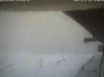 Archiv Foto Webcam Skigebiet Belchen 15:00