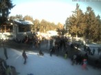 Archiv Foto Webcam Wasserkuppe: Märchenwiesenhütte 11:00