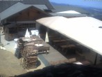 Archiv Foto Webcam Hohenbogen: Haus Schönblick 11:00