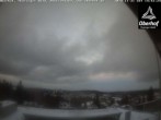 Archiv Foto Webcam Sportgymnasium Oberhof 15:00