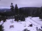 Archiv Foto Webcam Oberhof: Alte Golfwiese 08:00