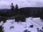 Archived image Webcam Inn "Haus Schmiechen" 13:00