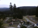 Archived image Webcam Inn "Haus Schmiechen" 11:00