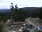 Archived image Webcam Inn "Haus Schmiechen" 13:00