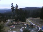 Archiv Foto Webcam Oberhof: Alte Golfwiese 16:00