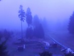 Archiv Foto Webcam Oberhof: Alte Golfwiese 05:00