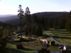 Archiv Foto Webcam Oberhof: Alte Golfwiese 01:00