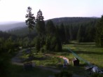 Archiv Foto Webcam Oberhof: Alte Golfwiese 05:00