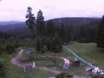 Archiv Foto Webcam Oberhof: Alte Golfwiese 17:00