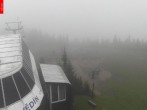 Archived image Webcam Medvědín 07:00