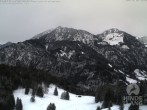 Archiv Foto Webcam Bergstation Hornbahn, Blick Rodelbahn 13:00