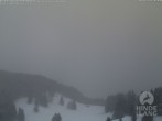 Archiv Foto Webcam Bergstation Hornbahn, Blick Rodelbahn 15:00