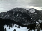 Archiv Foto Webcam Bergstation Hornbahn, Blick Rodelbahn 06:00