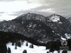 Archiv Foto Webcam Bergstation Hornbahn, Blick Rodelbahn 07:00