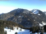 Archiv Foto Webcam Bergstation Hornbahn, Blick Rodelbahn 11:00