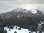 Archiv Foto Webcam Bergstation Hornbahn, Blick Rodelbahn 07:00