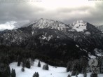 Archiv Foto Webcam Bergstation Hornbahn, Blick Rodelbahn 09:00