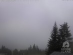 Archived image Webcam Kids hotel Oberjoch Allgäu 06:00