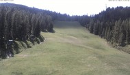 Archiv Foto Webcam FIS Abfahrt am Hauser Kaibling 11:00