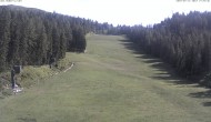 Archiv Foto Webcam FIS Abfahrt am Hauser Kaibling 15:00