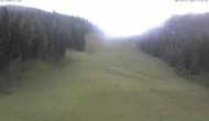 Archiv Foto Webcam FIS Abfahrt am Hauser Kaibling 15:00
