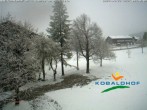 Archived image Webcam Hotel Kobaldhof, Ramsau am Dachstein 07:00