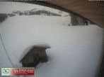 Archived image Webcam Sun deck of the mountain restaurant Rossstelle 07:00