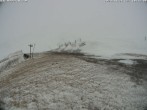 Archiv Foto Webcam La Thuile - Chaz Dura 09:00