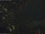 Archiv Foto Webcam Donita’s Cam Crested Butte 22:00