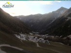 Archiv Foto Webcam Pichlerhof, Oberlappach 07:00