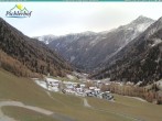 Archiv Foto Webcam Pichlerhof, Oberlappach 11:00