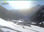 Archiv Foto Webcam Pichlerhof, Oberlappach 09:00